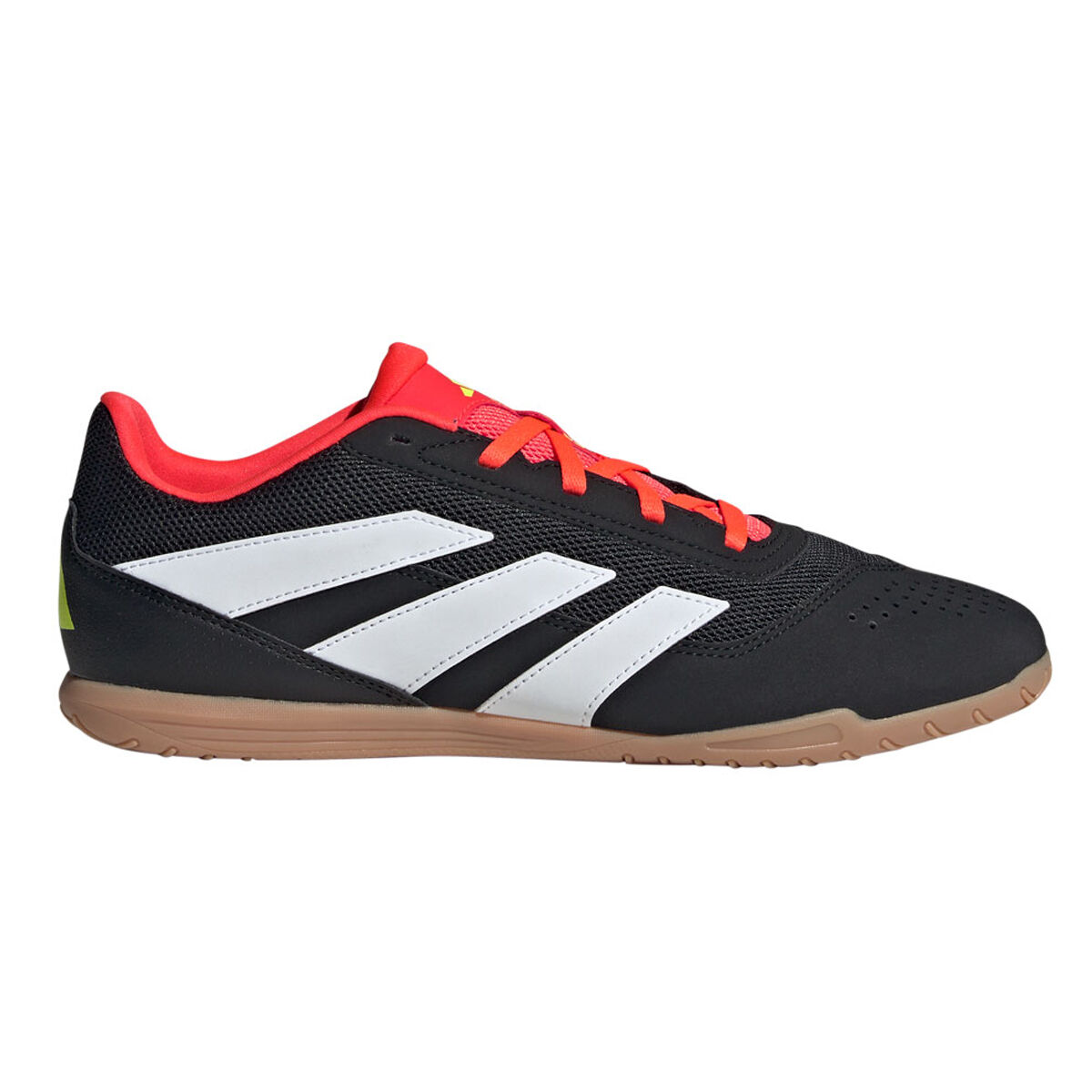 Rebel sport cheap indoor soccer shoes