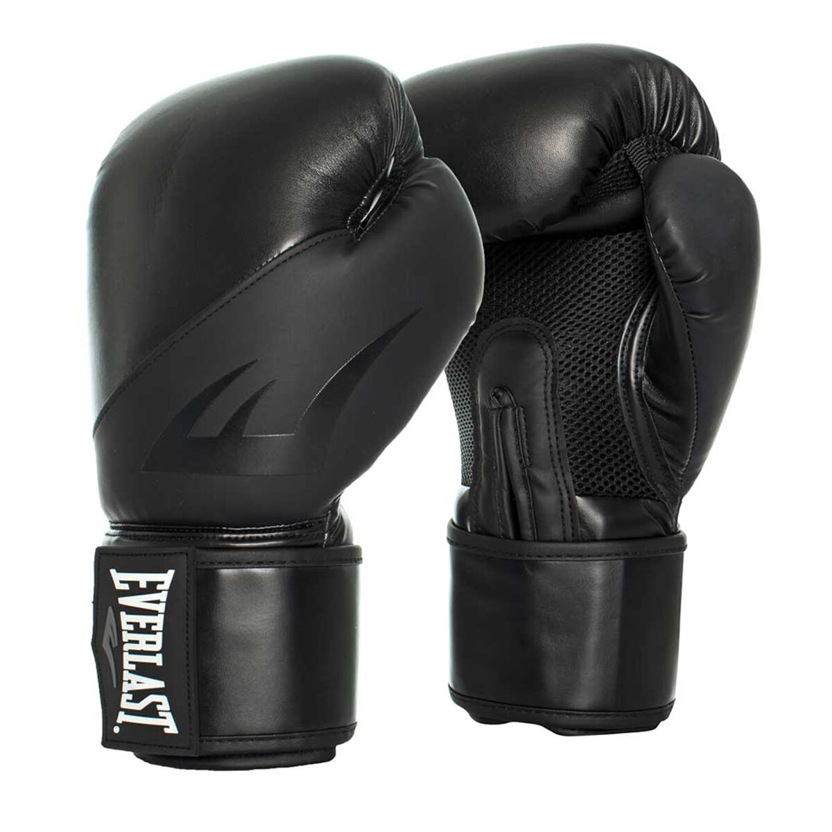 Everlast Ex Boxing Gloves | Gov Sport
