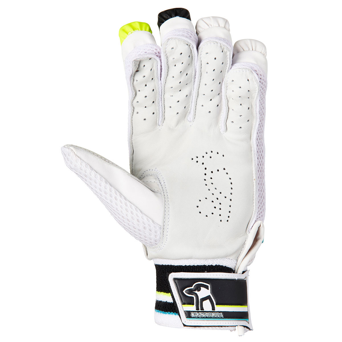 Cricket clearance gloves rebel