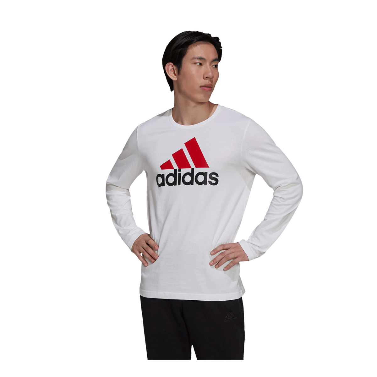 sportswear track suit adidas for men