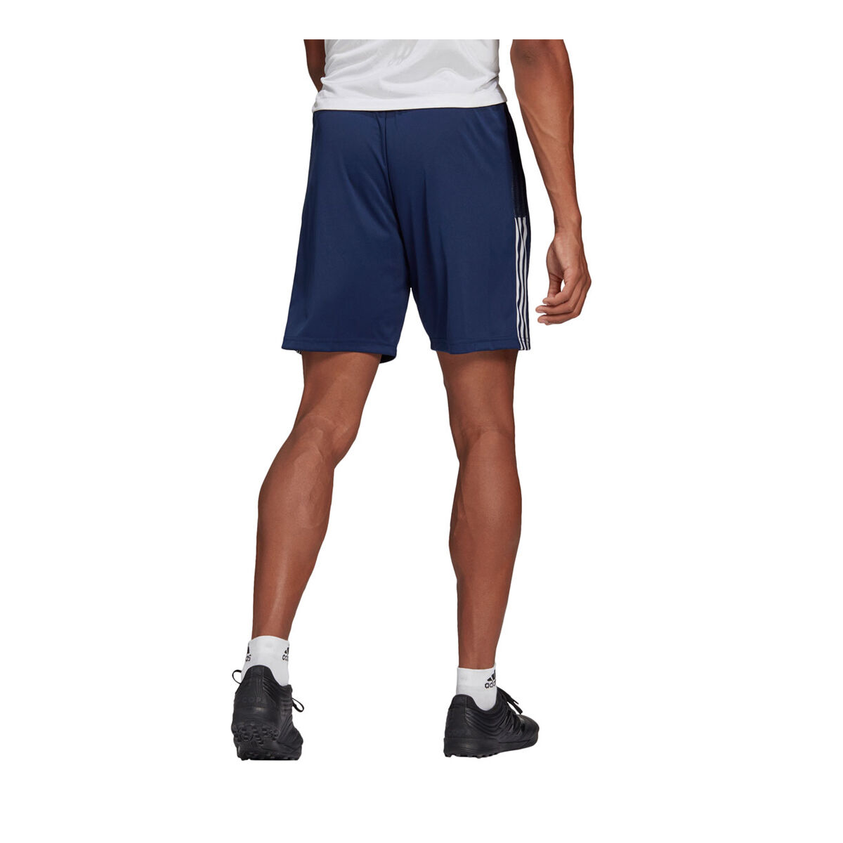 adidas shorts rebel sport