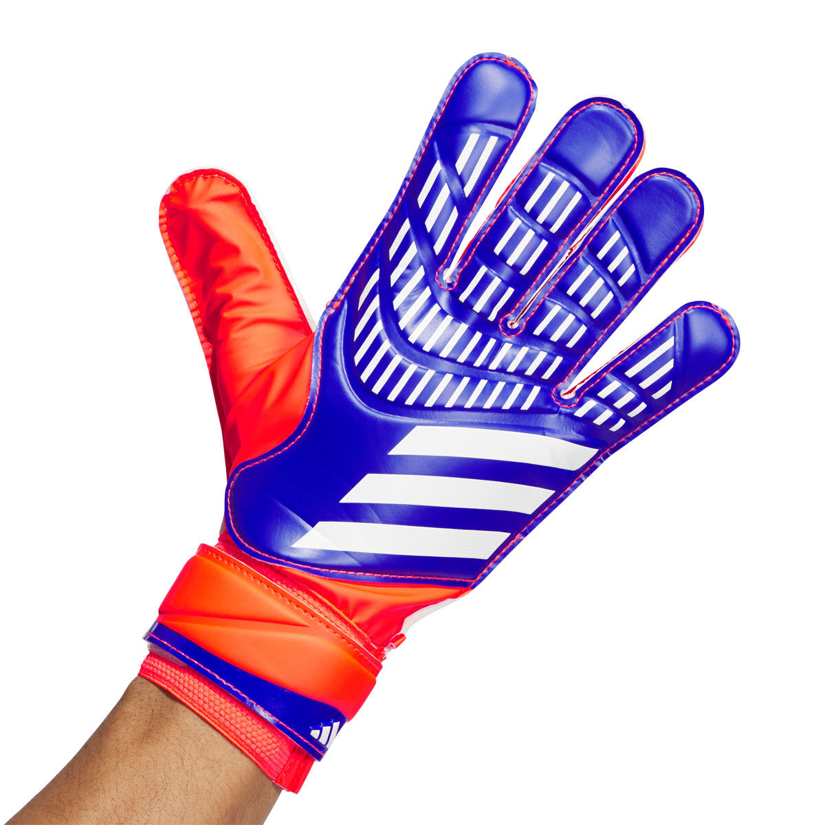 adidas Predator Training Goalkeeping Gloves Blue/Red 8, Blue/Red, rebel_hi-res