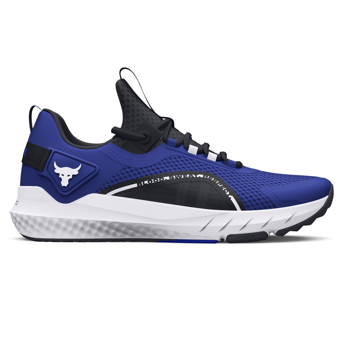 Under Armour Project Rock Bsr 3 Training Shoes in Blue for Men