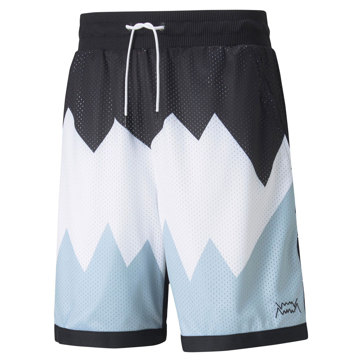 puma shorts basketball